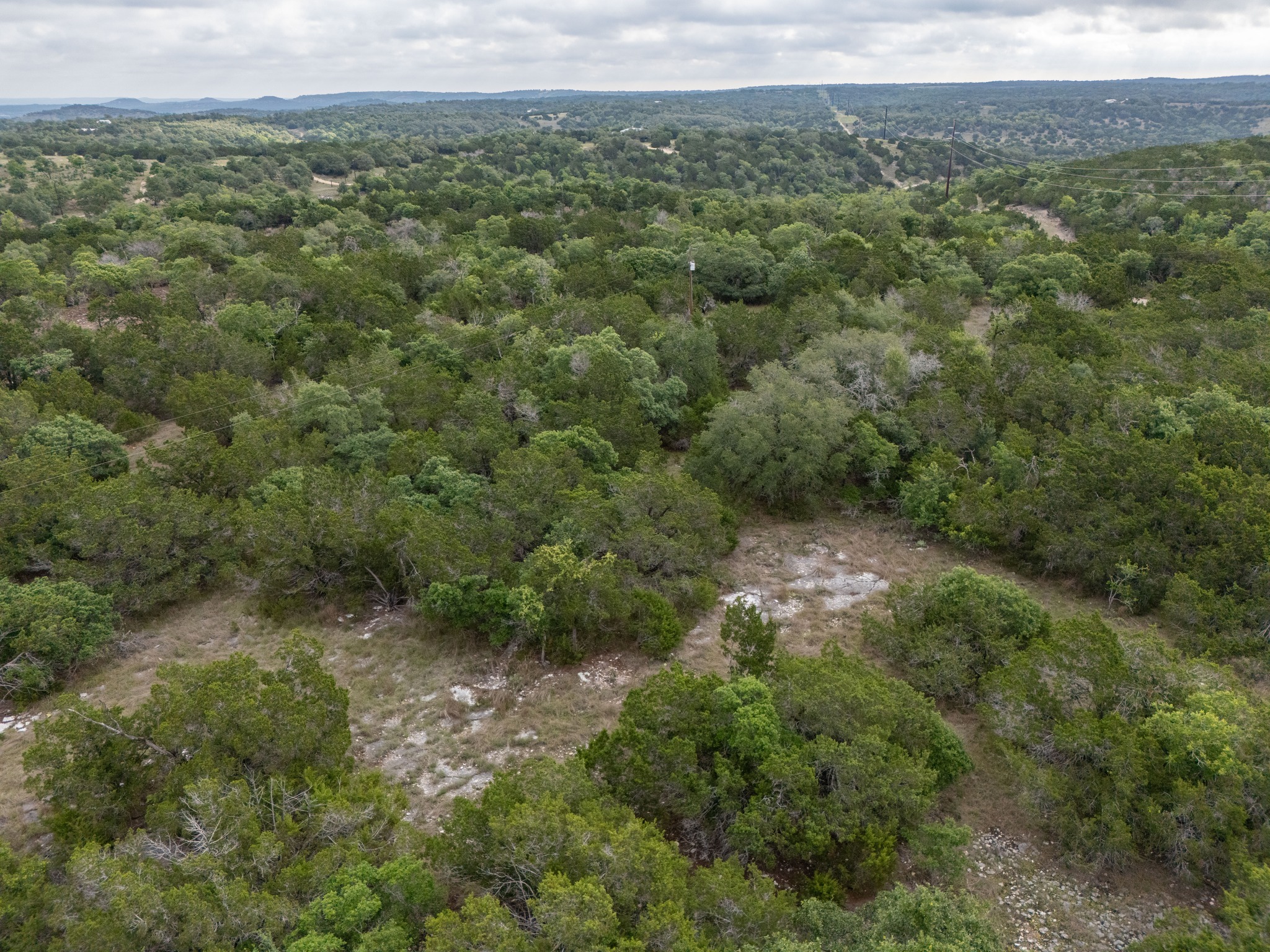 -altwein Rd 17.91 Acres Altwein Road Blanco, TX 78606 - Photo 10 of 33 a view of a forest with a street