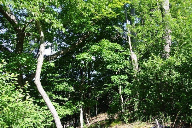 North Shore Estates Road Spring Lake, MI 49456 - Photo 12 of 18 Additional Photo