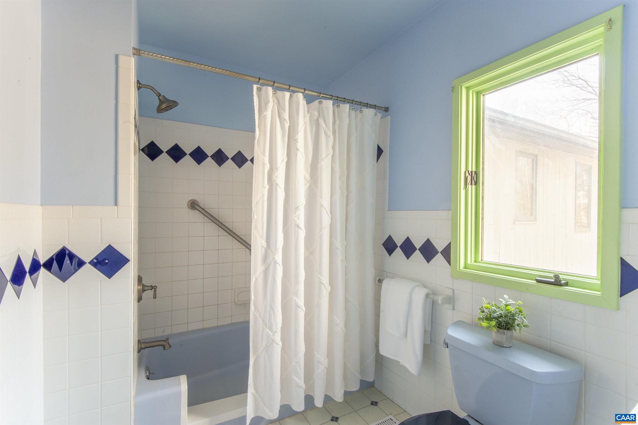 8268 Dick Woods Road Afton, VA 22920 - Photo 24 of 52