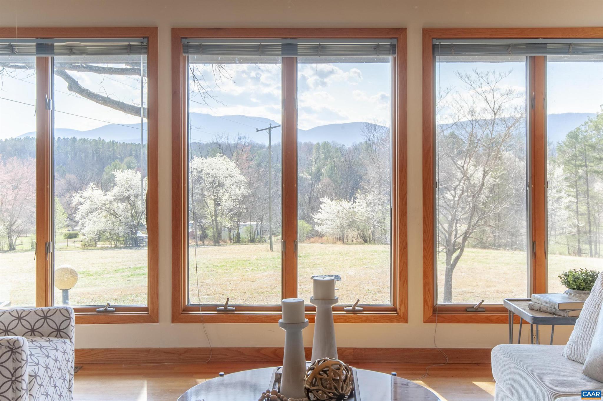 8268 Dick Woods Road Afton, VA 22920 - Photo 7 of 52