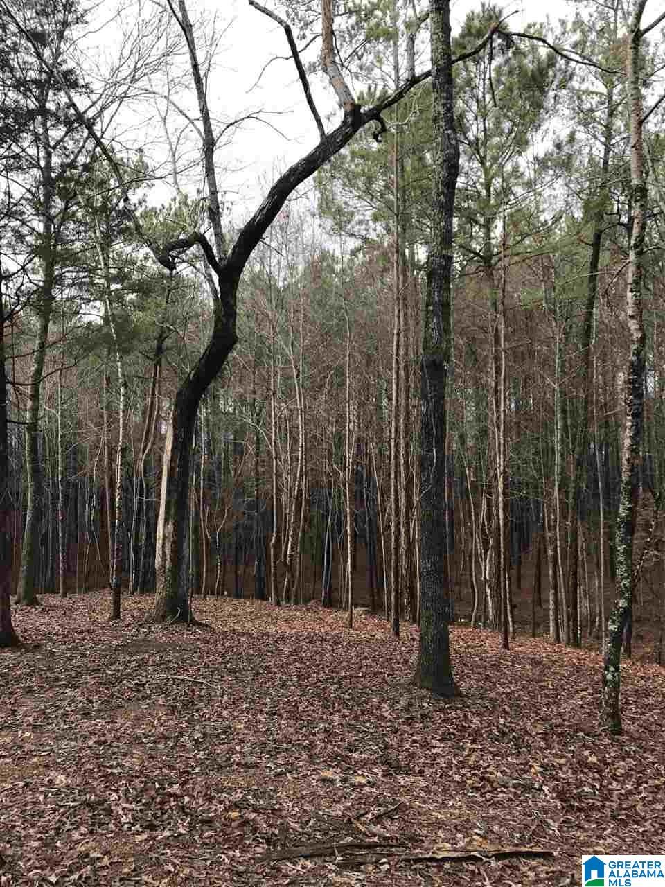 1083 Highway 95 Helena Al, Unit 1 Helena, AL 35080 - Photo 2 of 2
