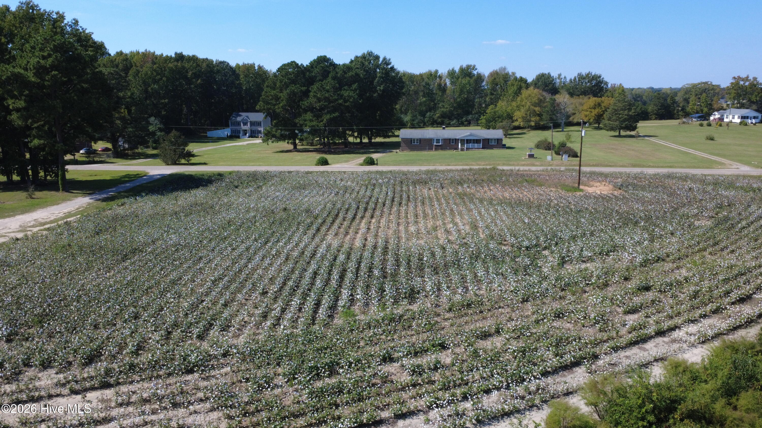 0 Ward Road Whitakers, NC 27891 - Photo 17 of 27 DJI_0513