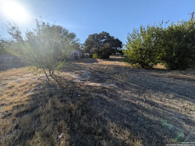 a view of a yard with a tree
