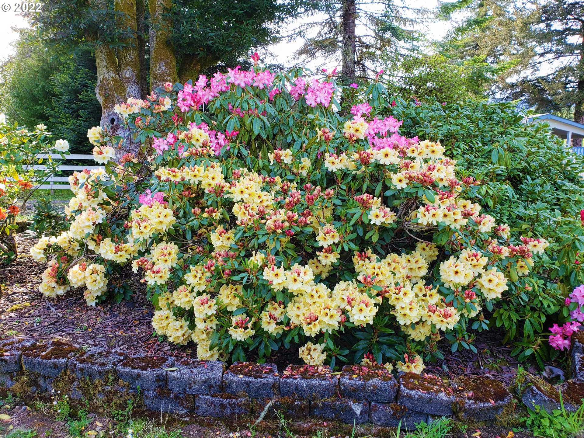 59718 Fairview Road Coquille, OR 97423 - Photo 26 of 32 Gallery Image 26