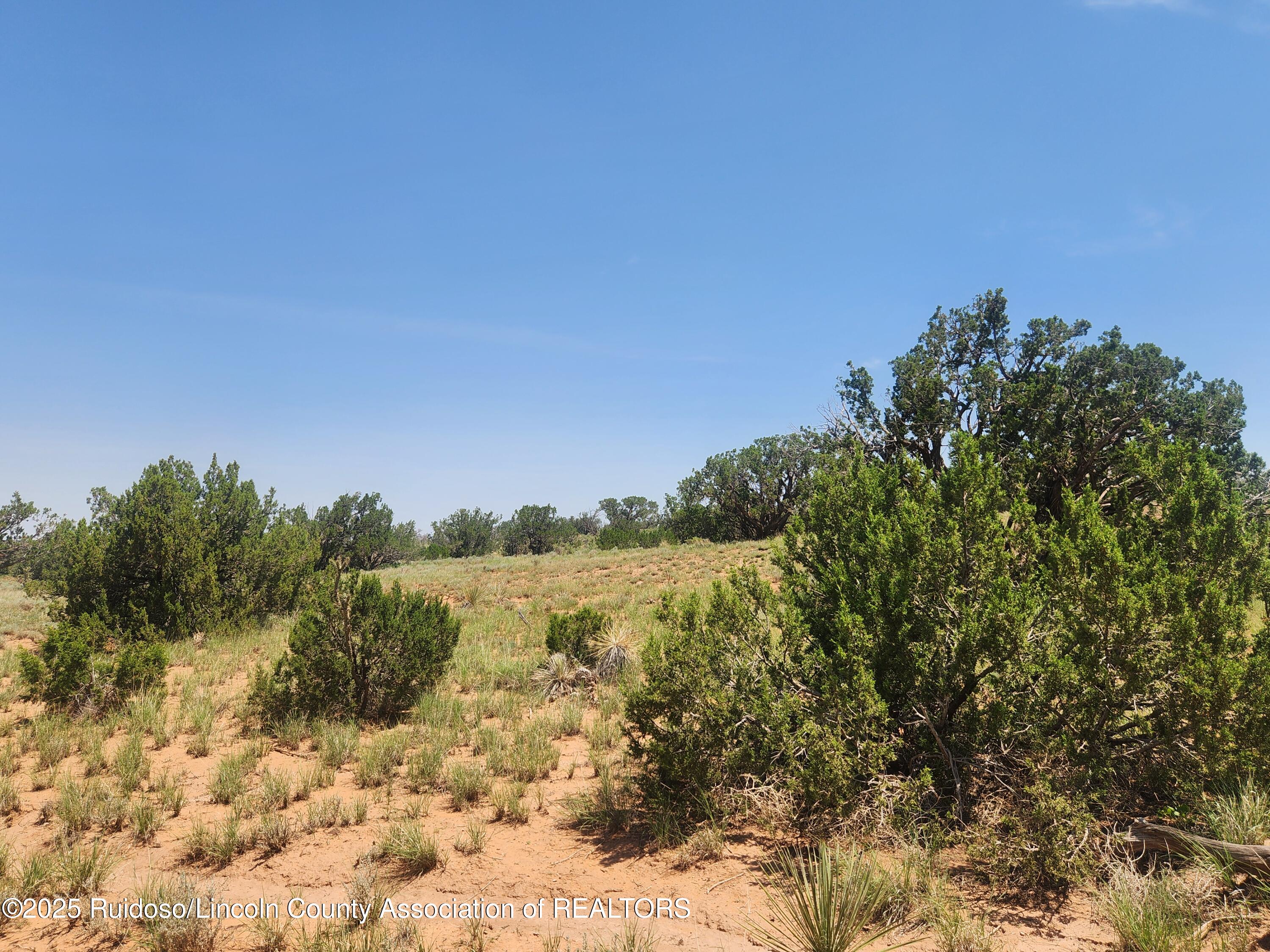 312 Windmill Road Carrizozo, NM 88301 - Photo 11 of 70 Gallery Image 11