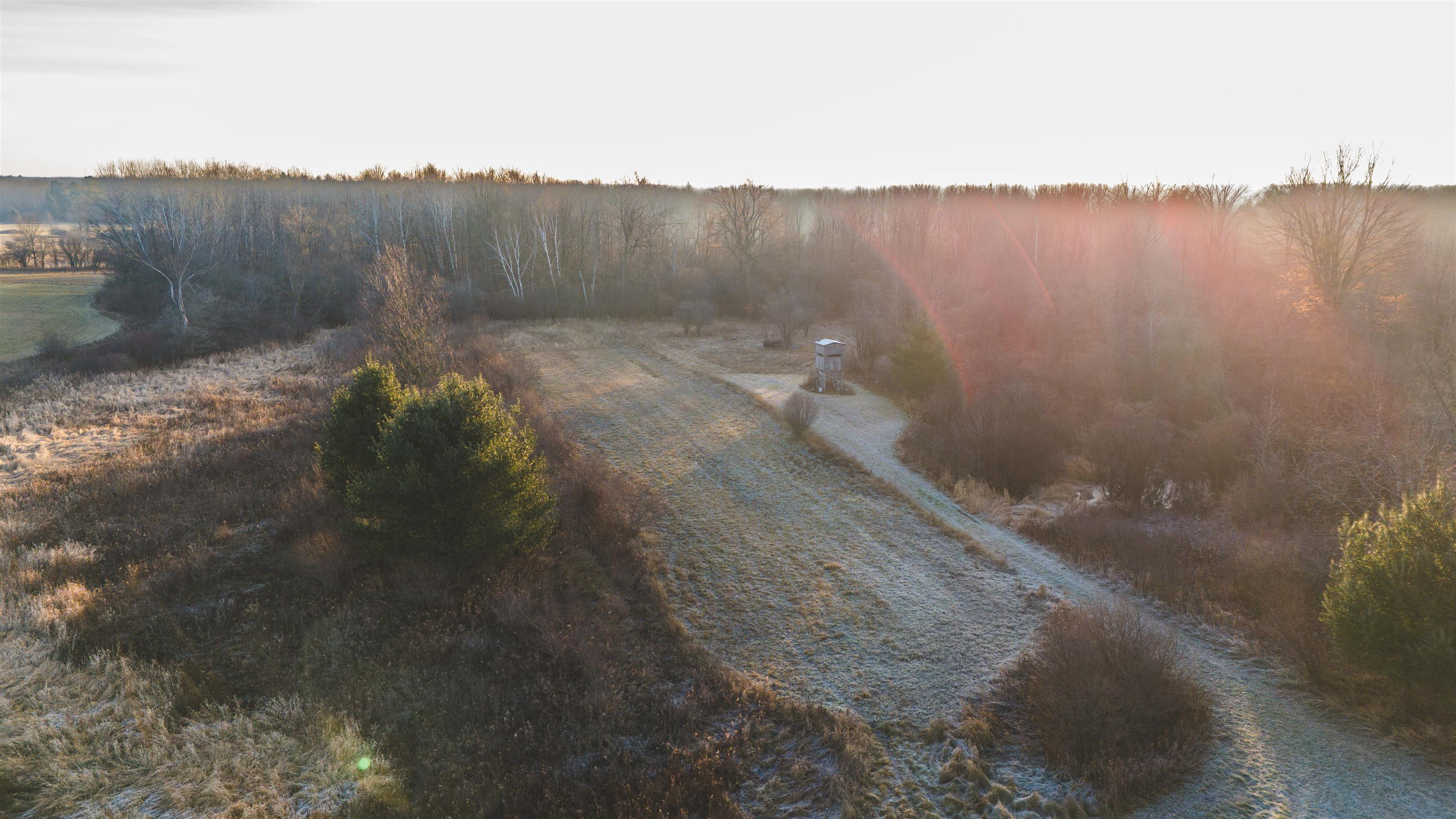 Four 4 Mile Road Evart, MI 49631 - Photo 31 of 38