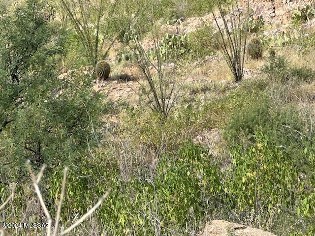 8167 South Pistol Hill Road Vail, AZ 85641 - Photo 15 of 36