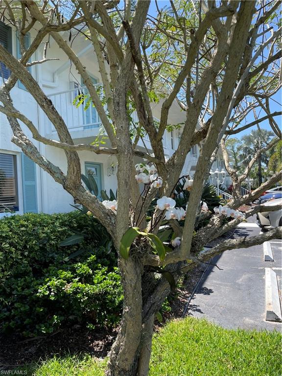 261 Quails Nest Road, Unit 6 Naples, FL 34112 - Photo 2 of 32 a front view of a house with a tree