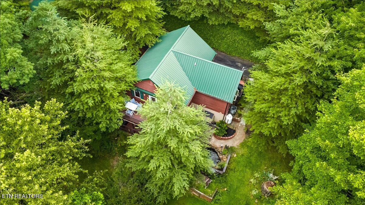 274 Pearl Road La Follette, TN 37766 - Photo 37 of 47 11-274 Pearl Rd