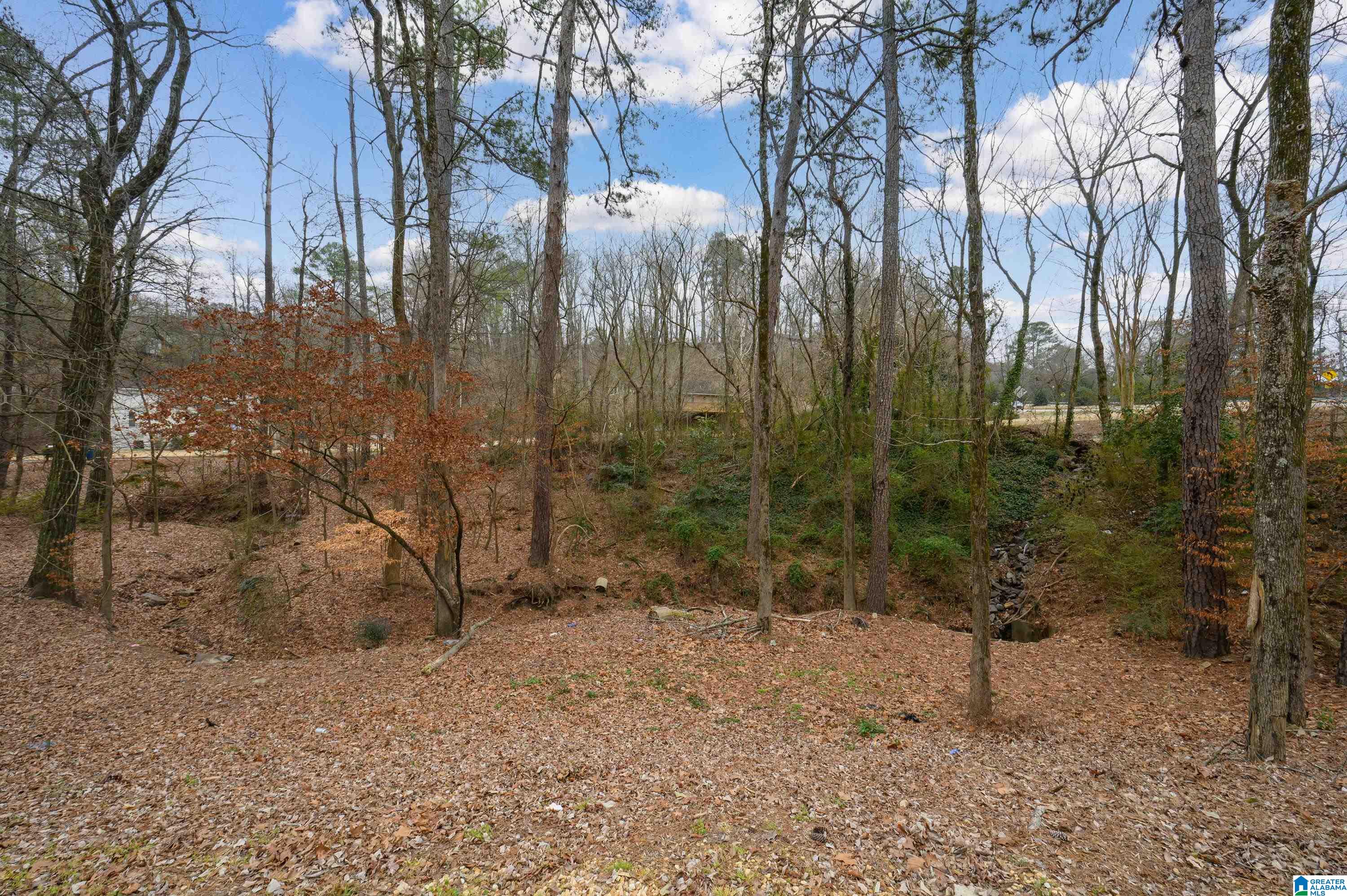 1311 Columbiana Road Birmingham, AL 35216 - Photo 26 of 34