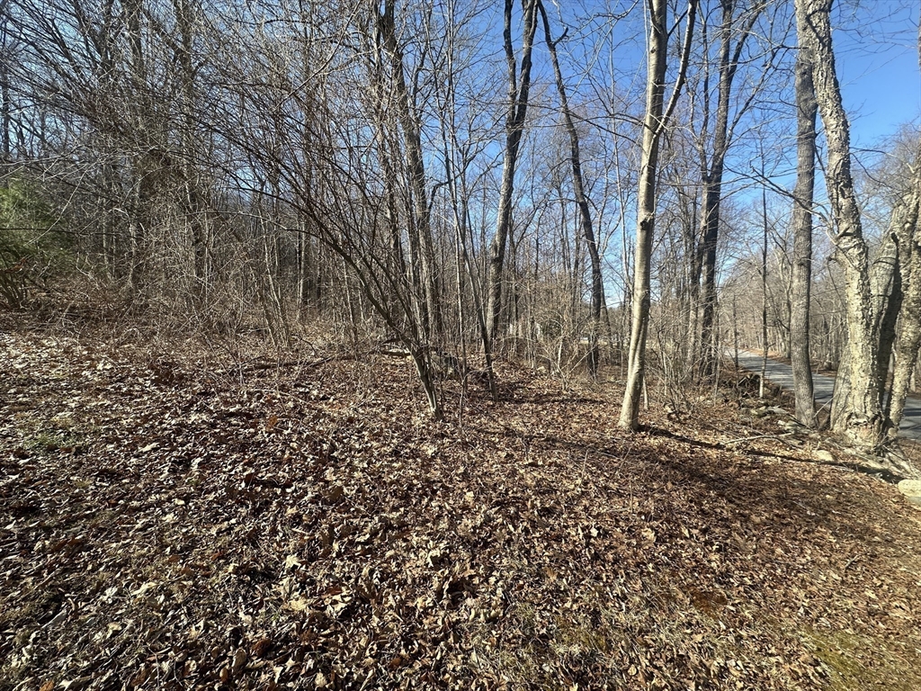 Lot 1 Woodhill Road Monson, MA 01057 - Photo 5 of 9 a backyard of a house with lots of green space