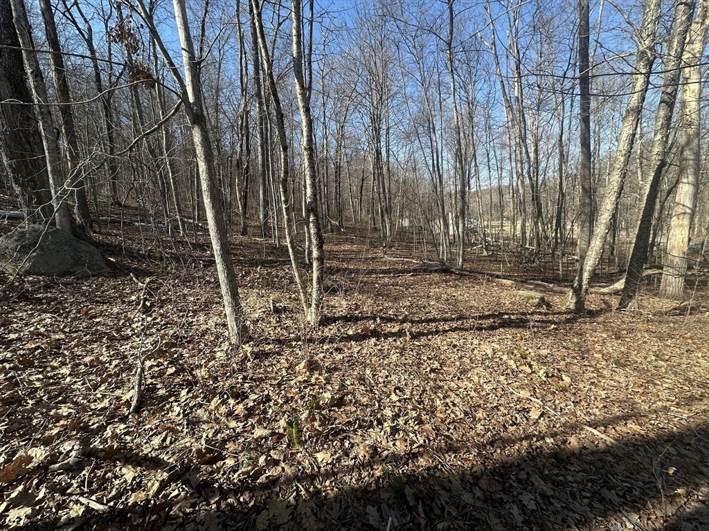 Lot 1 Woodhill Road Monson, MA 01057 - Photo 6 of 9 a view of a backyard
