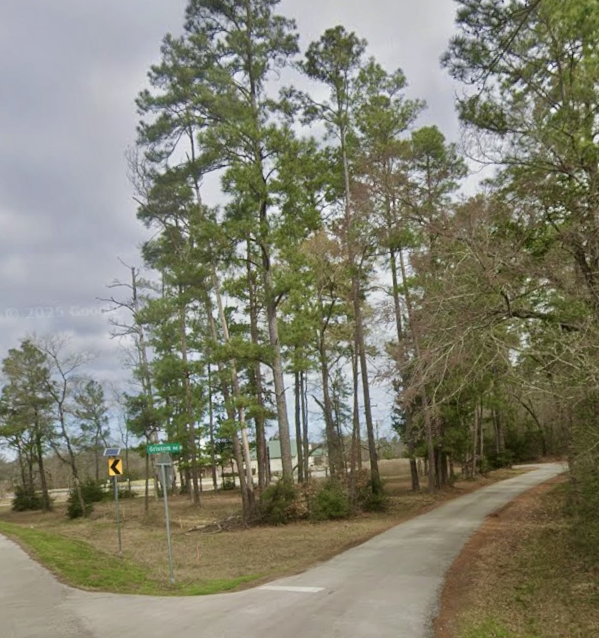 0 Grissom Road Richards, TX 77873 - Photo 2 of 6 a view of a park with large trees