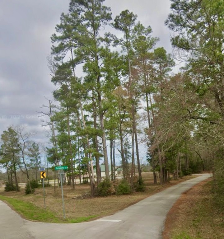 0 Grissom Road Richards, TX 77873 - Photo 2 of 6