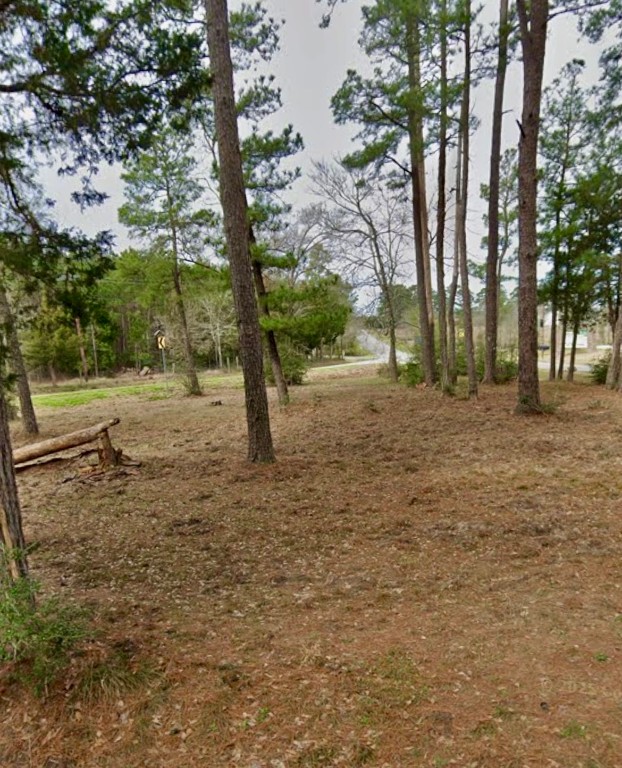 0 Grissom Road Richards, TX 77873 - Photo 4 of 6