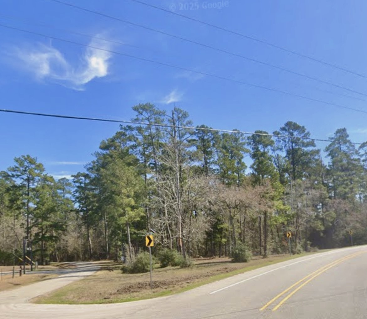 0 Grissom Road Richards, TX 77873 - Photo 5 of 6