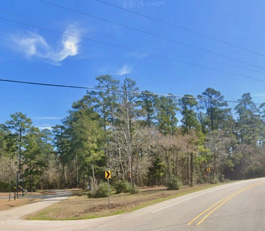 0 Grissom Road Richards, TX 77873 - Photo 5 of 6