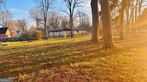 a view of water with palm trees