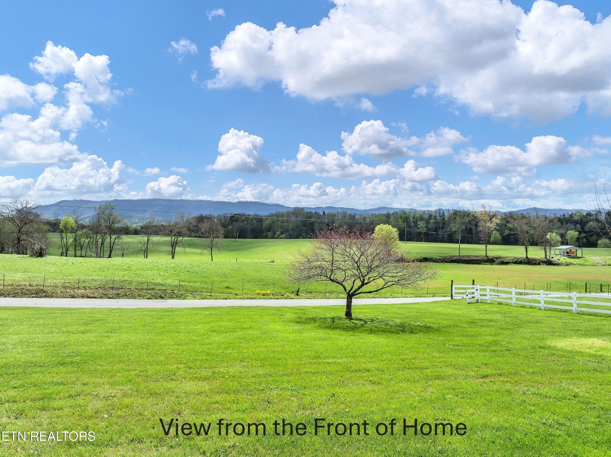 951 Ellejoy Road Seymour, TN 37865 - Photo 3 of 60 Gallery Image 3