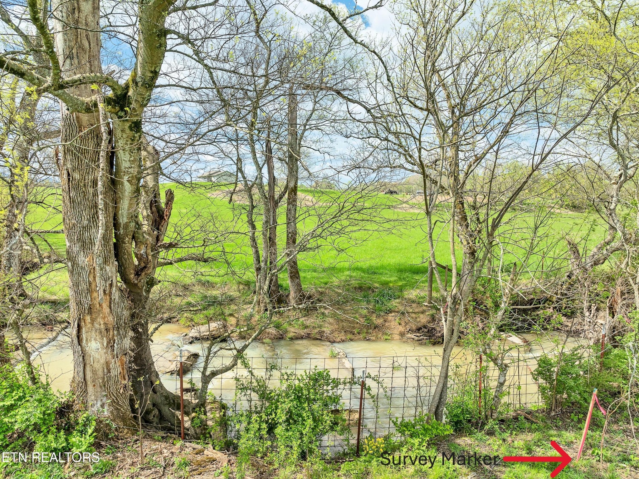 951 Ellejoy Road Seymour, TN 37865 - Photo 5 of 60 Gallery Image 5