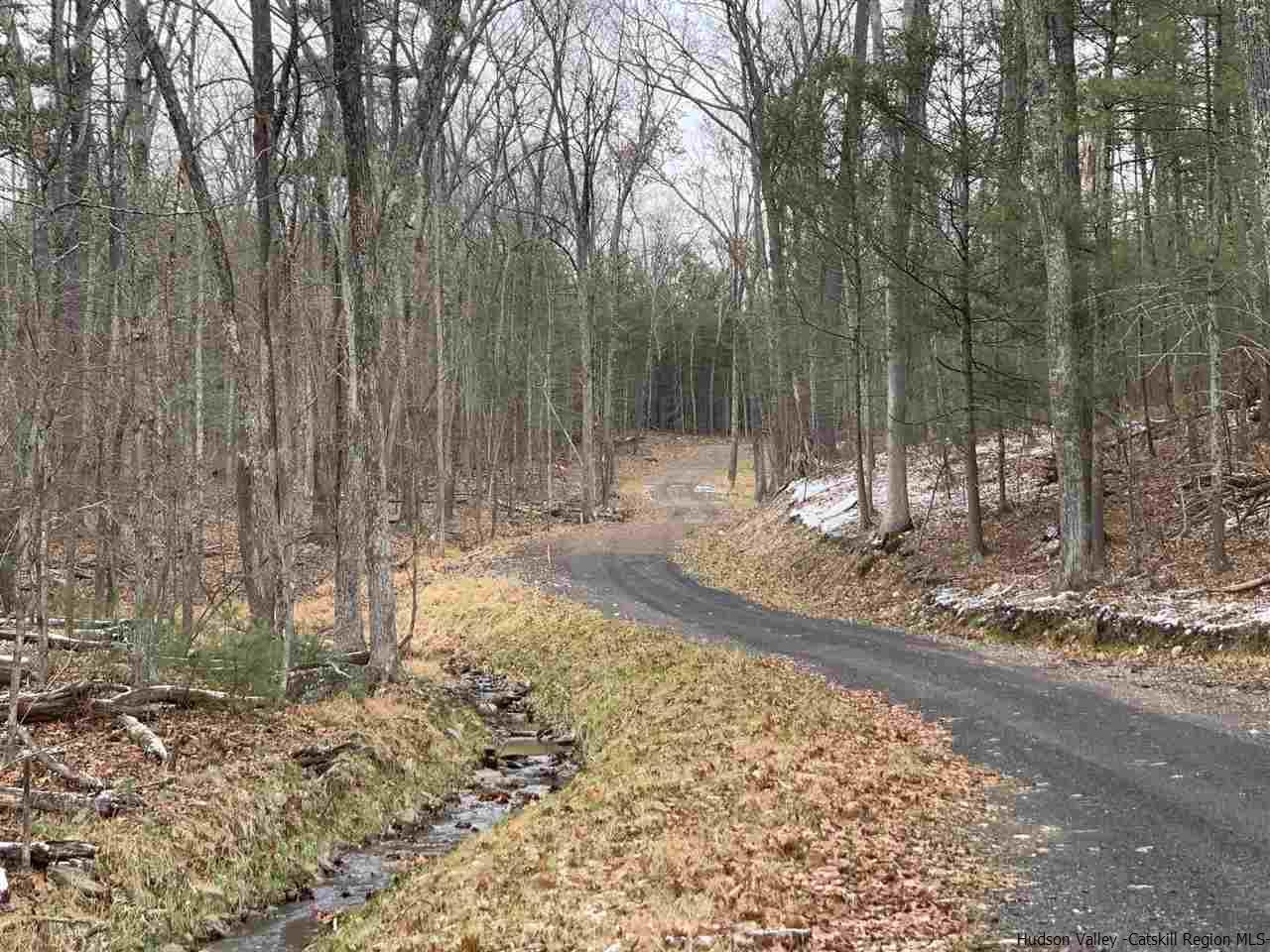 Tbd Bush Road Stone Ridge, NY 12484 - Photo 3 of 14 a view of a yard with a tree