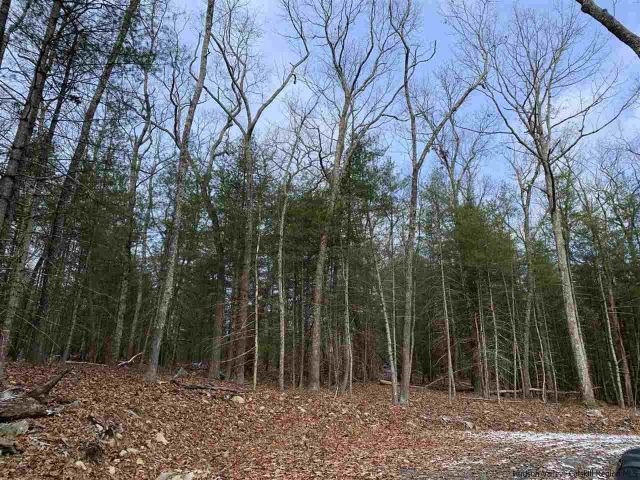 Tbd Bush Road Stone Ridge, NY 12484 - Photo 4 of 14 a view of outdoor space with lots of trees