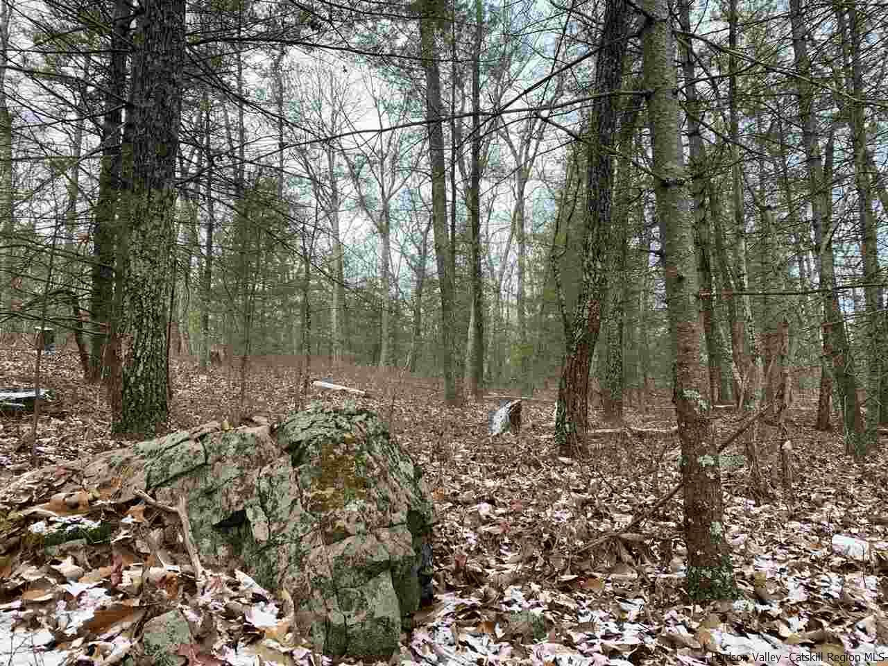 Tbd Bush Road Stone Ridge, NY 12484 - Photo 8 of 14 a view of a forest with trees