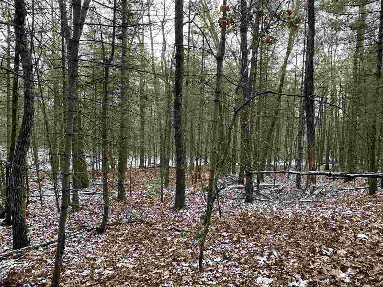 Tbd Bush Road Stone Ridge, NY 12484 - Photo 10 of 14 a view of outdoor space with lots of trees
