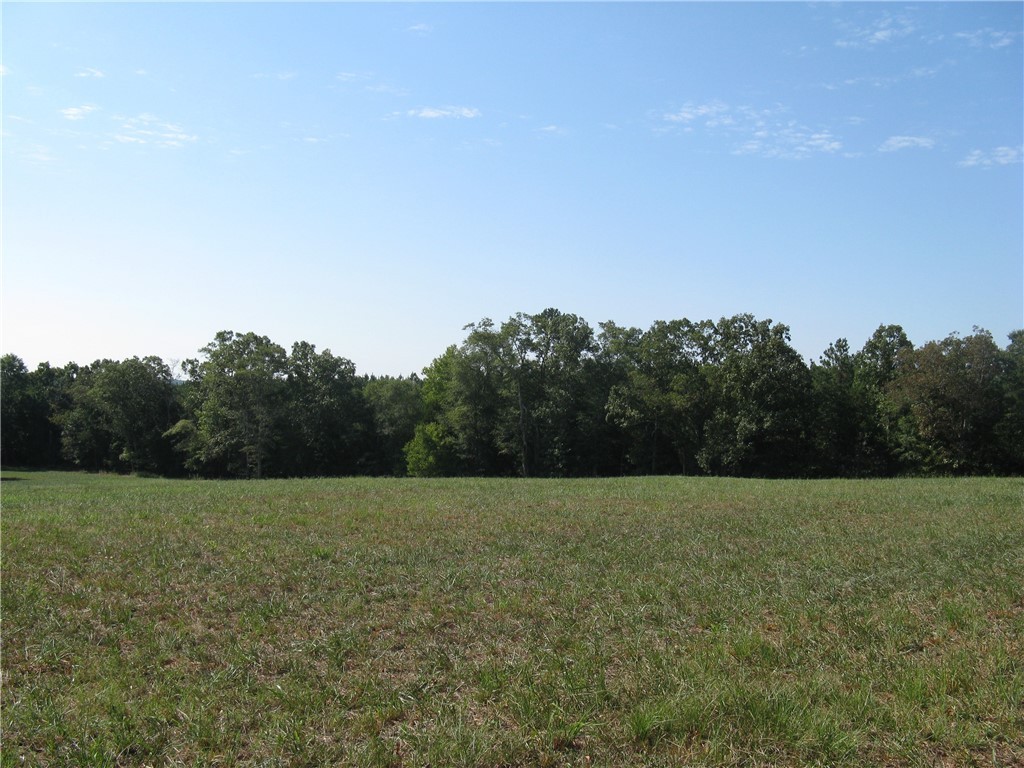 601 Martin Road Williamston, SC 29697 - Photo 15 of 42