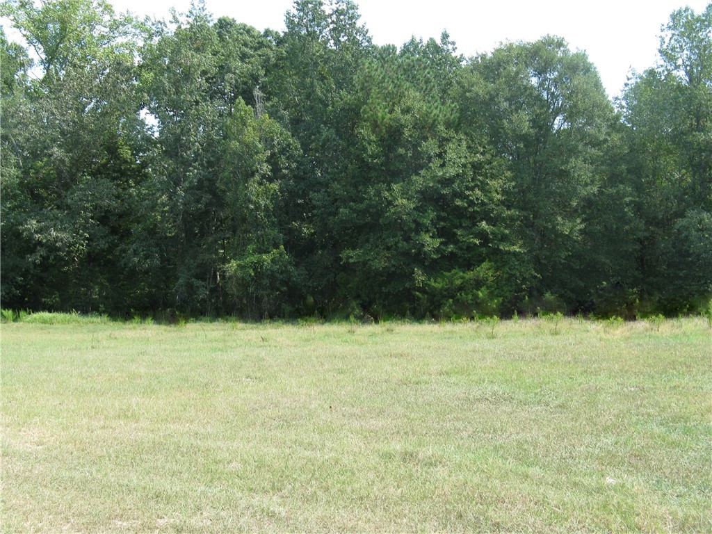 601 Martin Road Williamston, SC 29697 - Photo 16 of 42