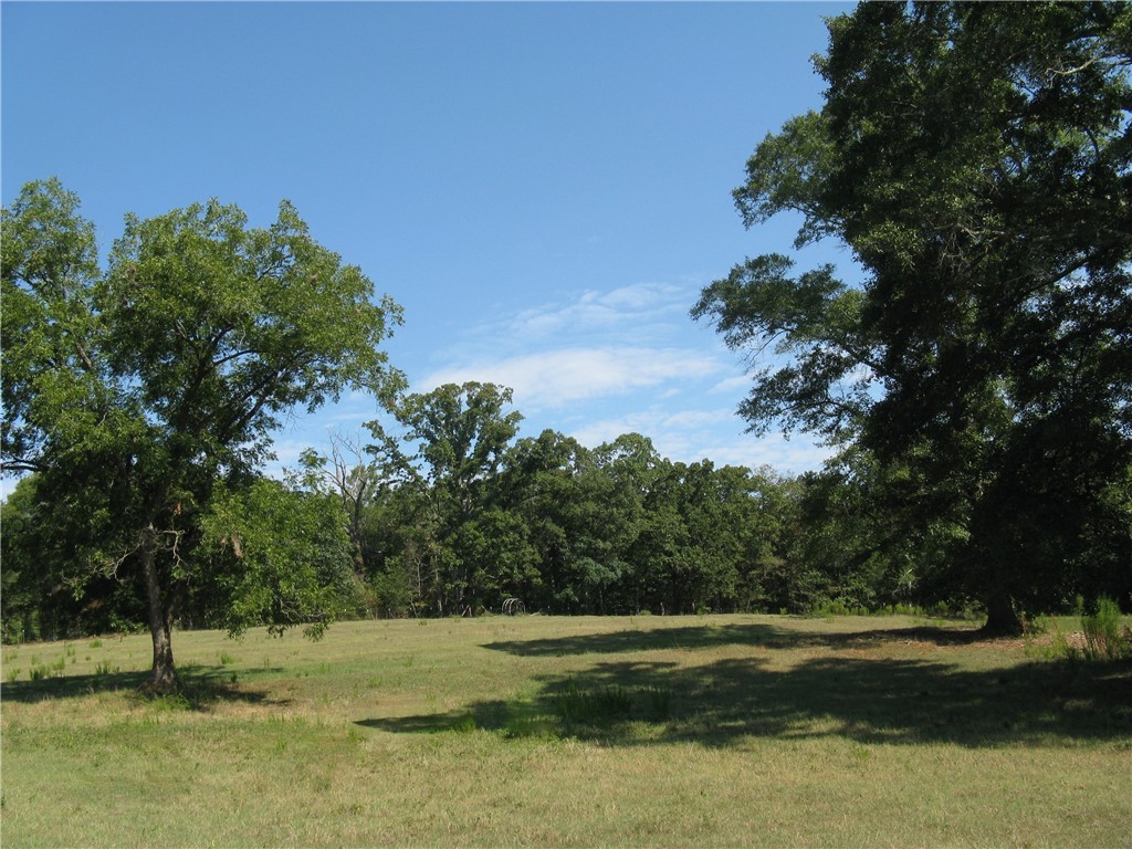 601 Martin Road Williamston, SC 29697 - Photo 17 of 42