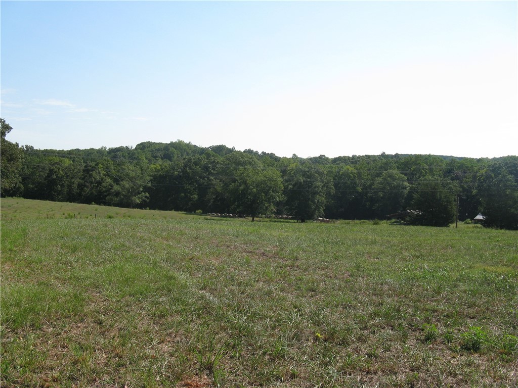 601 Martin Road Williamston, SC 29697 - Photo 18 of 42