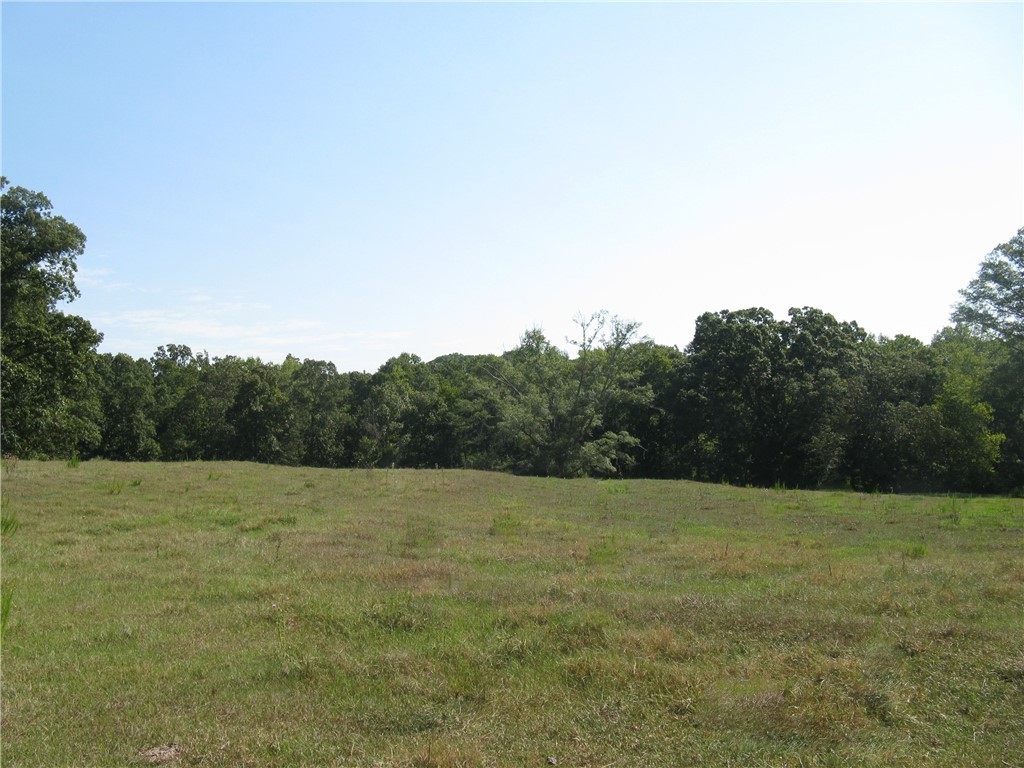 601 Martin Road Williamston, SC 29697 - Photo 19 of 42