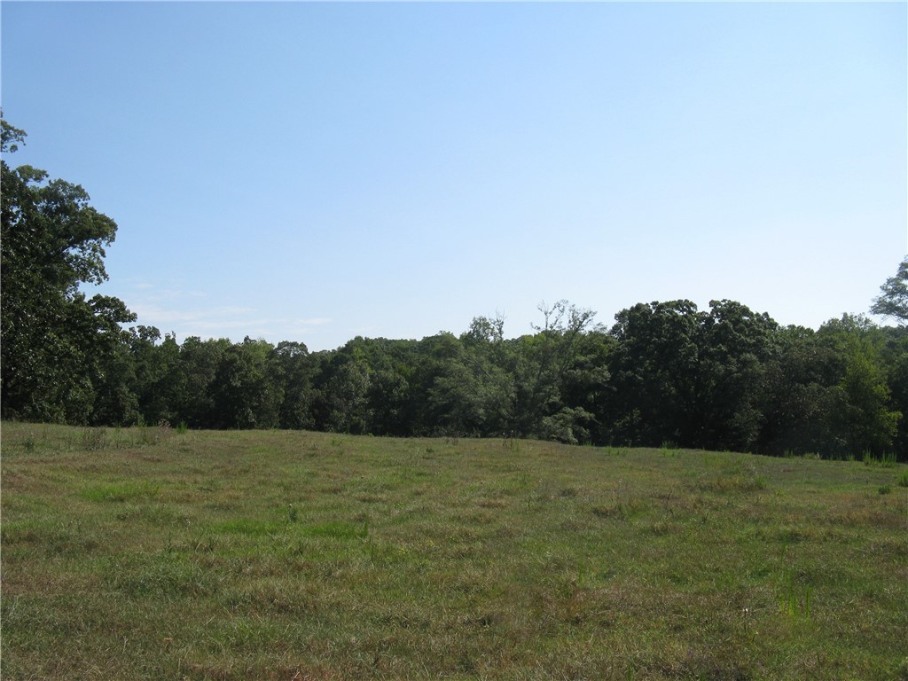 601 Martin Road Williamston, SC 29697 - Photo 20 of 42