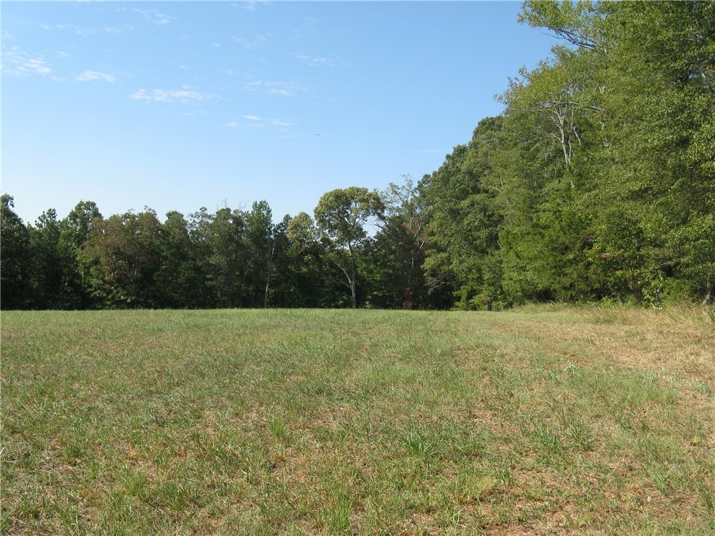 601 Martin Road Williamston, SC 29697 - Photo 24 of 42
