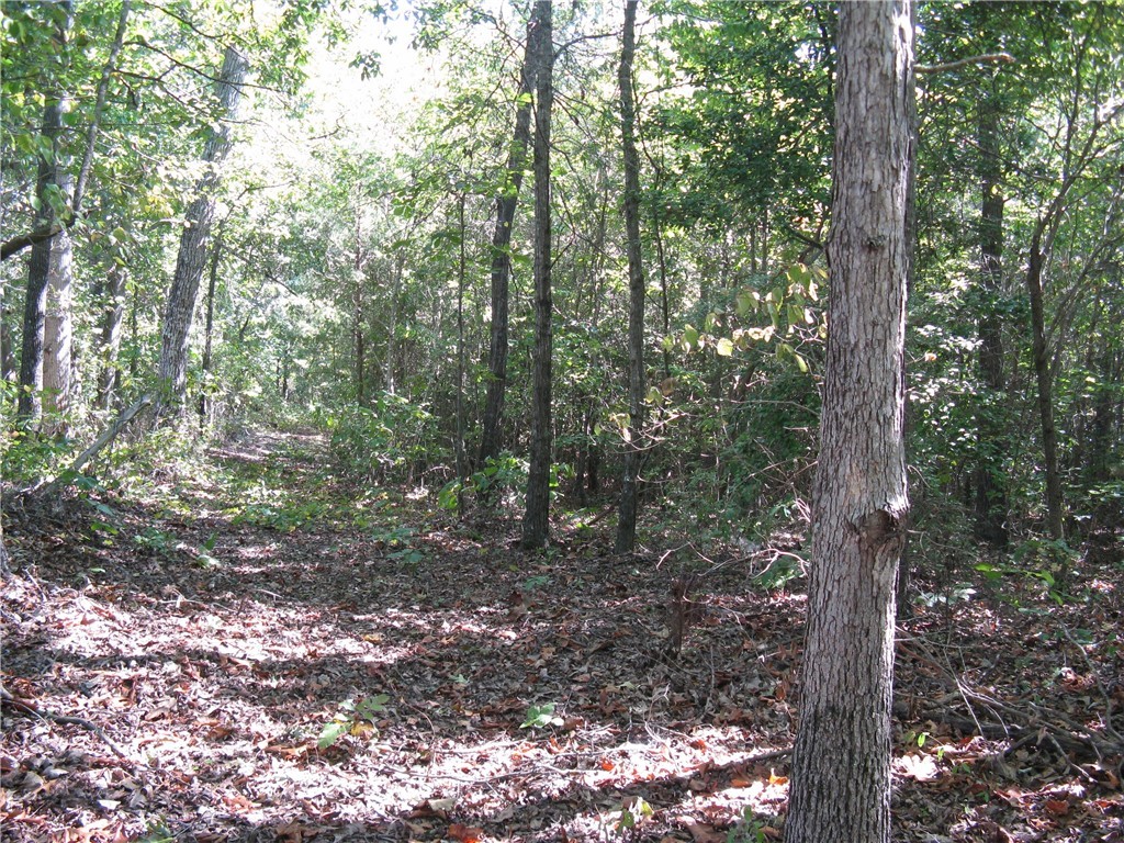 601 Martin Road Williamston, SC 29697 - Photo 27 of 42