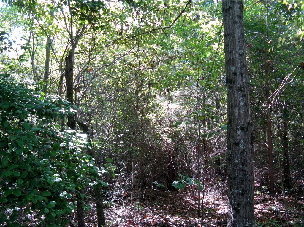 601 Martin Road Williamston, SC 29697 - Photo 28 of 42