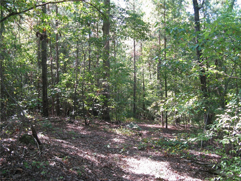 601 Martin Road Williamston, SC 29697 - Photo 29 of 42