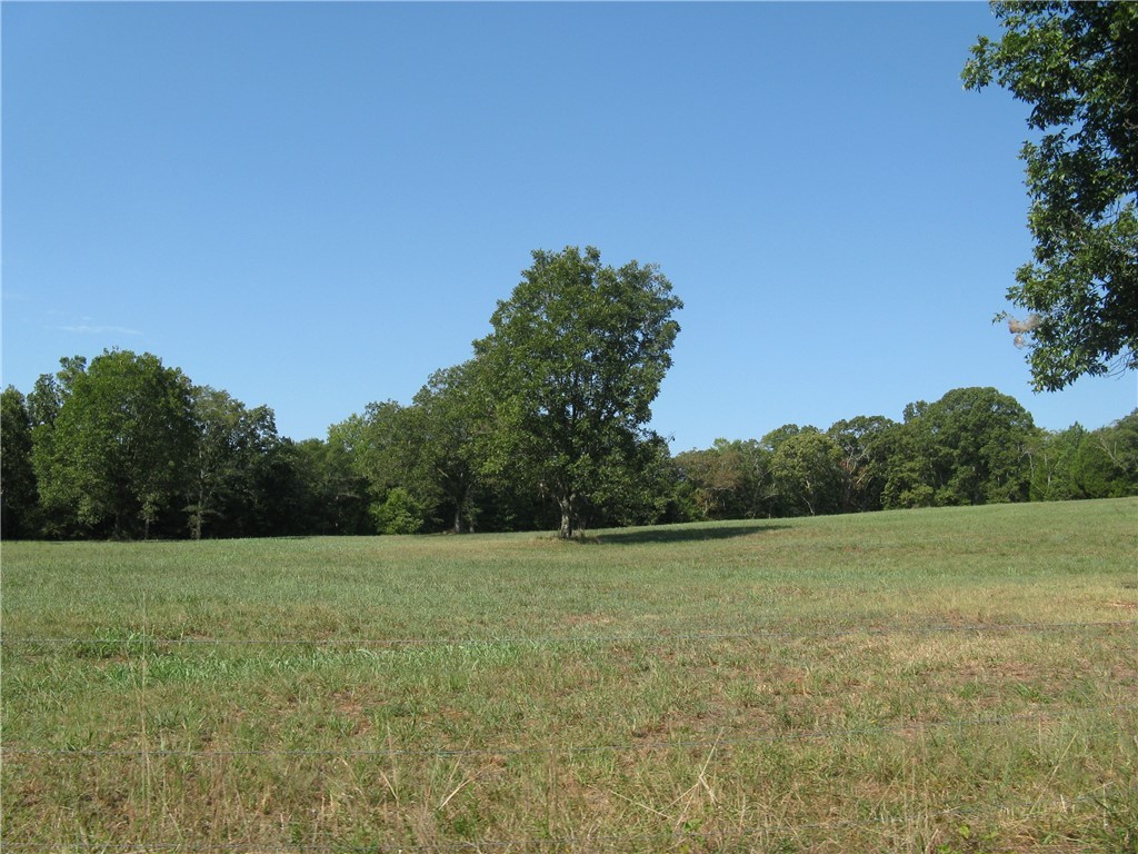 601 Martin Road Williamston, SC 29697 - Photo 3 of 42