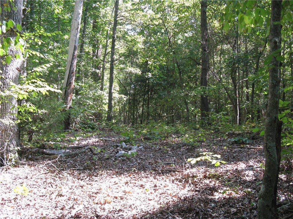 601 Martin Road Williamston, SC 29697 - Photo 32 of 42