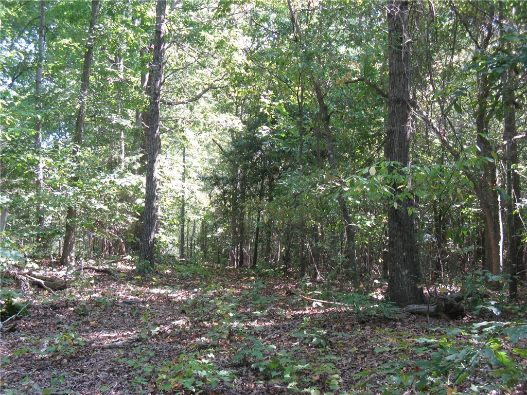 601 Martin Road Williamston, SC 29697 - Photo 33 of 42