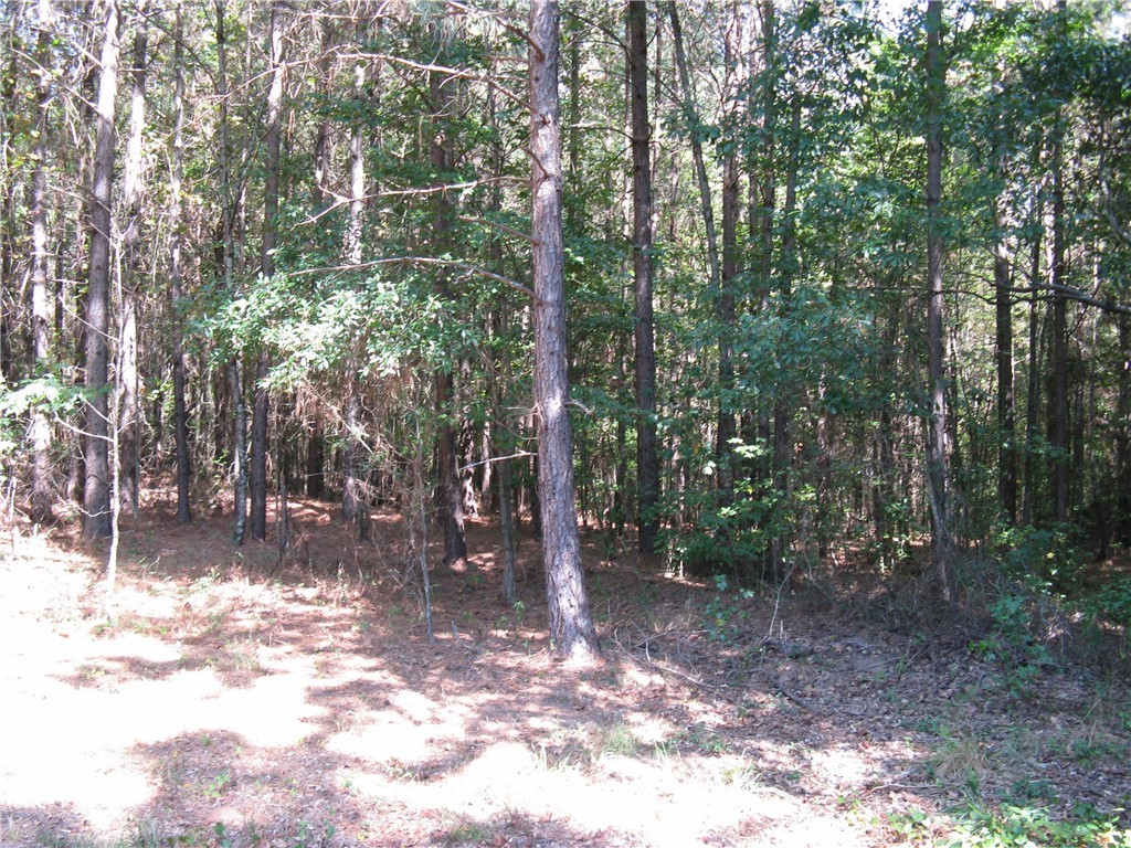 601 Martin Road Williamston, SC 29697 - Photo 34 of 42