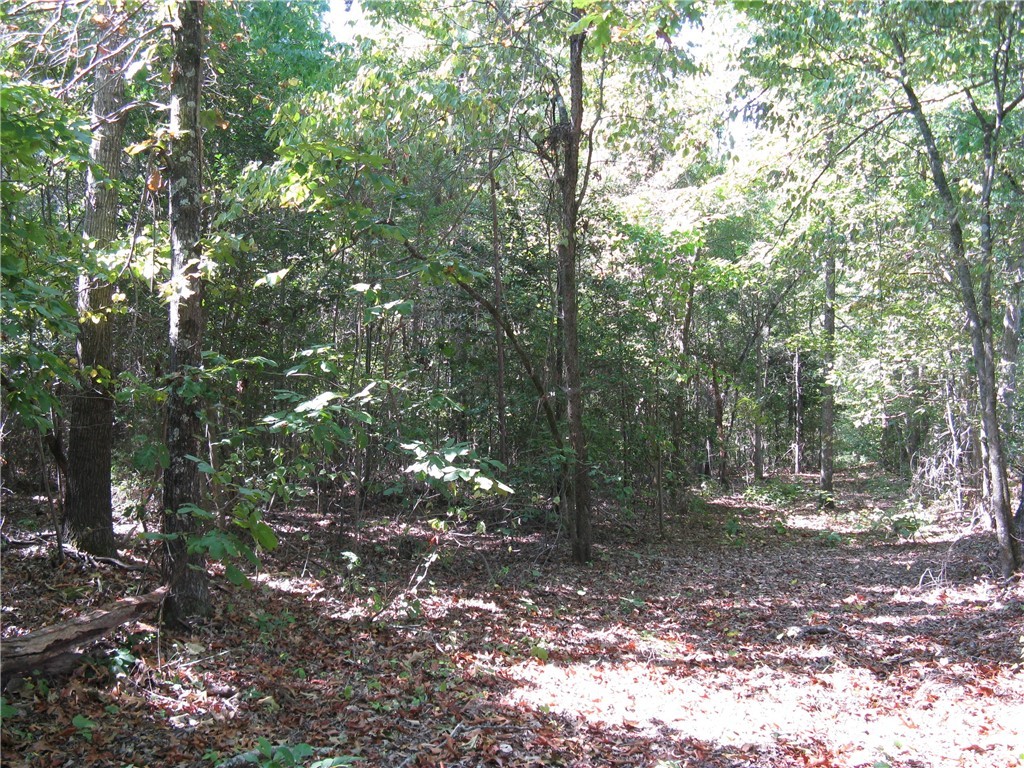 601 Martin Road Williamston, SC 29697 - Photo 38 of 42