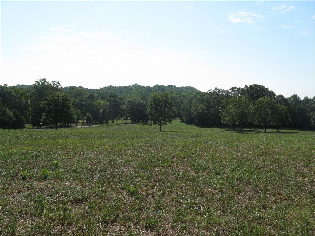 601 Martin Road Williamston, SC 29697 - Photo 4 of 42