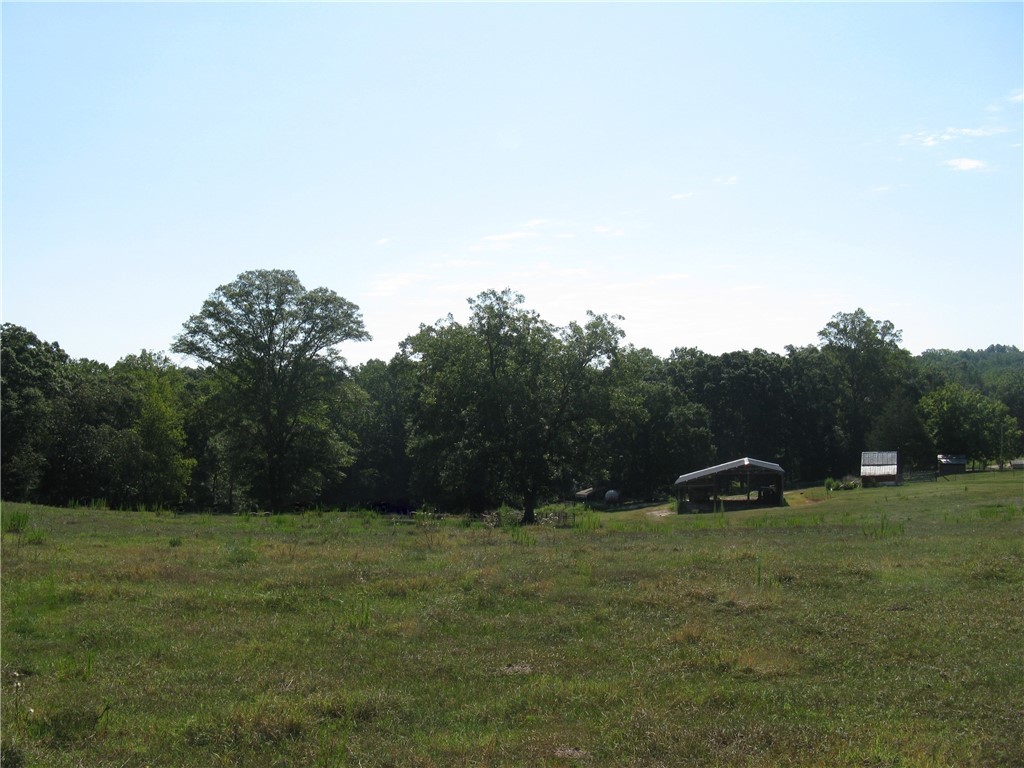 601 Martin Road Williamston, SC 29697 - Photo 5 of 42