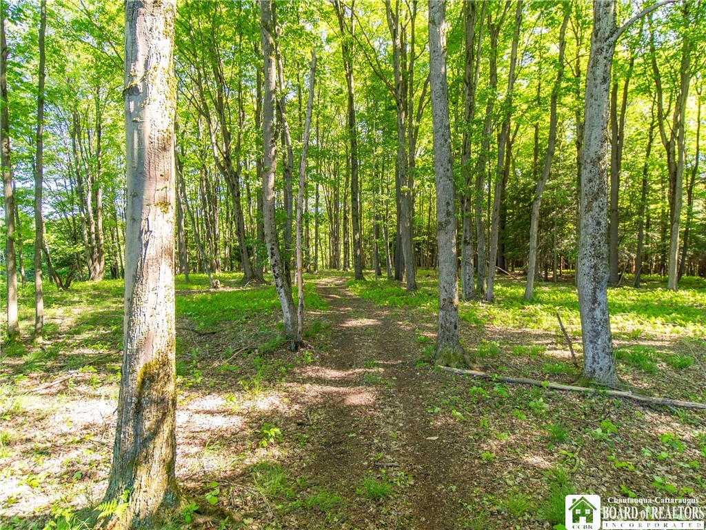 3946 Camp Road Sherman, NY 14781 - Photo 14 of 48