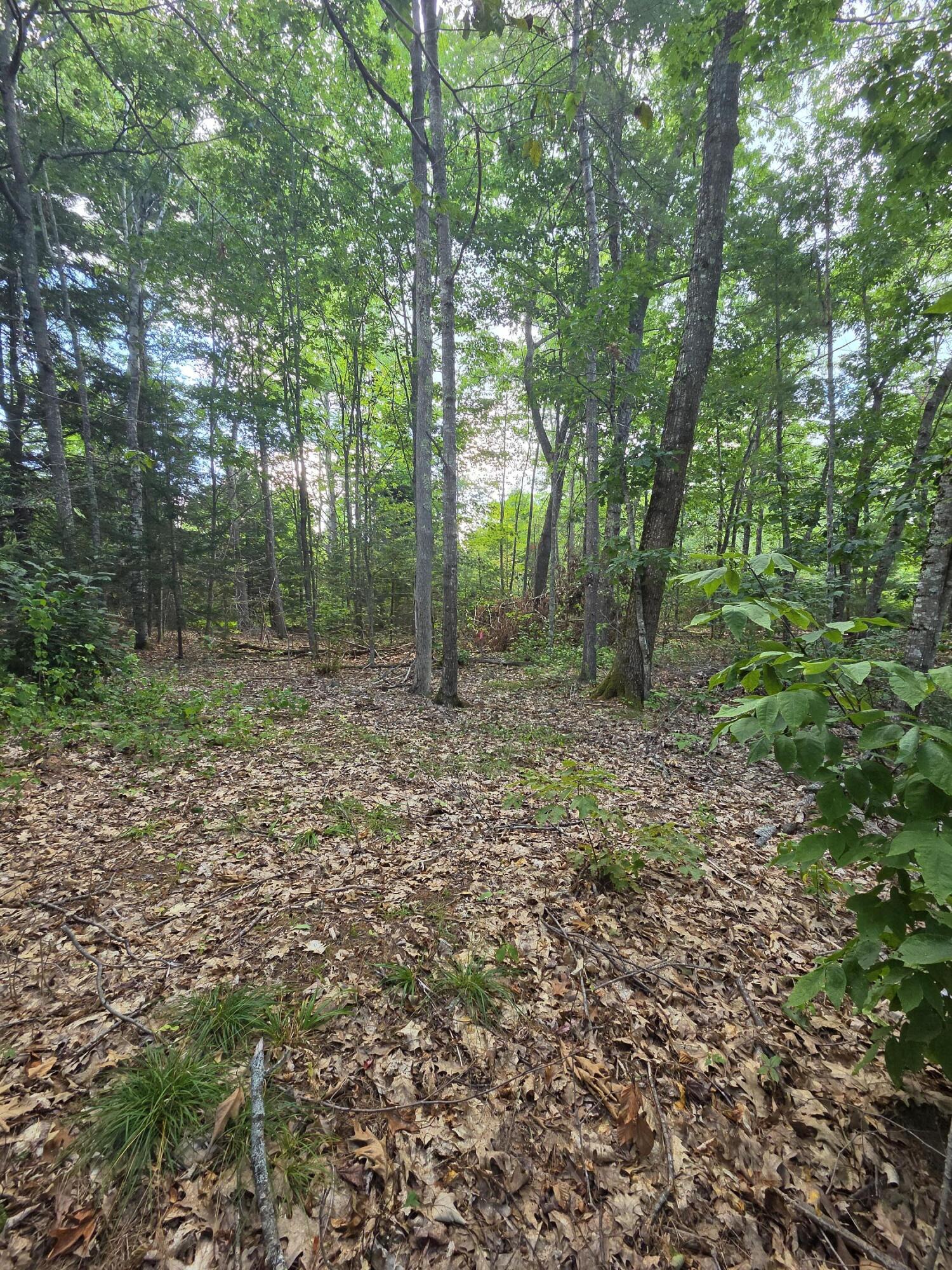 27 Bolin Hill Road Liberty, ME 04949 - Photo 5 of 14 land