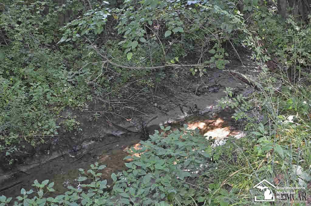 1534 West Sterns Road Temperance, MI 48182 - Photo 14 of 14 Creek at Back of Property