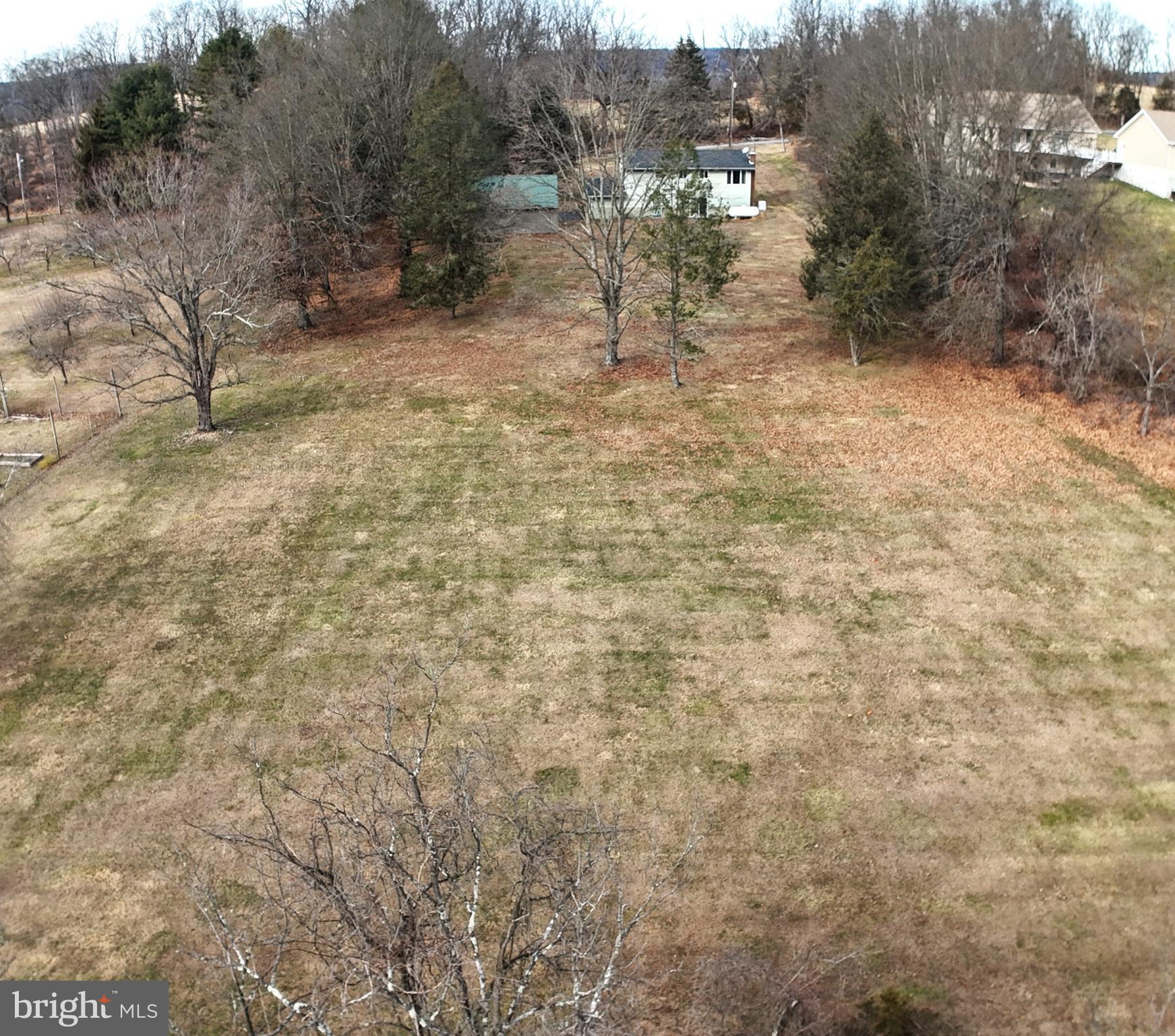 3288 Slifer Valley Road Riegelsville, PA 18077 - Photo 4 of 36 a view of a yard with trees