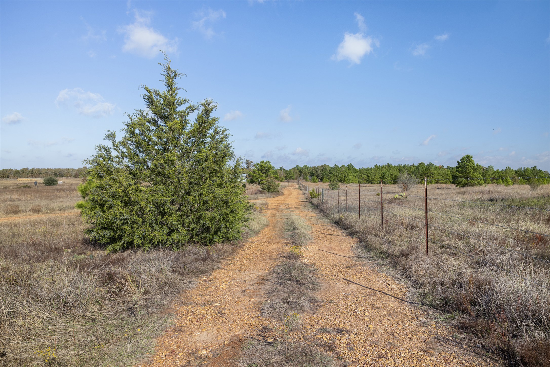 1759 Gotier Trace Road Paige, TX 78659 - Photo 24 of 40 a view of a lake with houses in the back